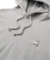 画像2: FTC/BOX LOGO PULLOVER HOODY  GRAY (2)