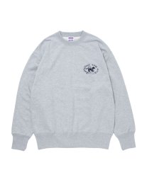 ROTTWEILER/HORSE SWEATER  GRAY