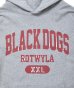 画像5: ROTTWEILER/BD XXL PARKA  GRAY (5)