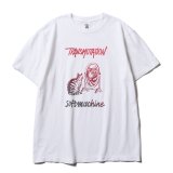 SOFTMACHINE/TRANSMUTATION  WHITE