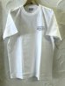 画像2: (再入荷)   ACOUSTIC/HIGH GRADE SUPPLY  WHITE (2)