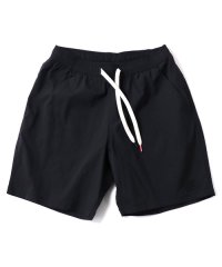 GYMMASTER/MICRO LIP SHORTS BLACK