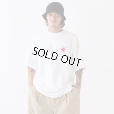 画像3: FAT/N.T. ENRAI  WHITE