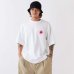 画像3: FAT/N.T. ENRAI  WHITE (3)