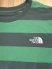 画像4: THE NORTH FACE/SS FIELD BORDER T  PINE GREENxGREEN (4)