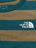 画像4: THE NORTH FACE/LS FIELD BORDER T  NTILITY BROWNxGREEN (4)