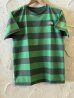 画像1: THE NORTH FACE/SS FIELD BORDER T  PINE GREENxGREEN (1)