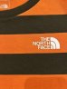 画像4: THE NORTH FACE/S/S FIELD BORDER T  MANDARINxBROWN (4)