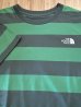 画像3: THE NORTH FACE/SS FIELD BORDER T  PINE GREENxGREEN (3)