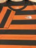 画像3: THE NORTH FACE/S/S FIELD BORDER T  MANDARINxBROWN (3)