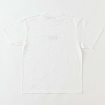 画像2: FAT/SOURCE  WHITE