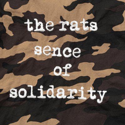 画像3: RATS/CAMO COACH JKT  CAMO