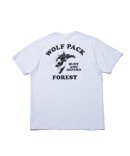 画像: ・・・ROTTWEILERアップしました・・・