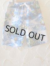画像: COREFIGHTER/KAMEHAME SHORTS  BLUE