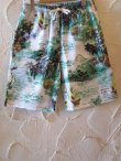 画像1: COREFIGHTER/KAMEHAME SHORTS  GREEN