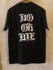 画像2: SUNNY C SIDER/BRONZE AGE DIE T  BLACK