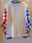 画像2: SUNNY C SIDER/MT 51 CS L/S T  WHITExTRICO