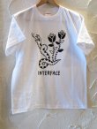 画像1: INTERFACE/SNAKE T  WHITE