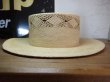 画像1: SOFTMACHINE/TUQULLA HAT  BEIGE