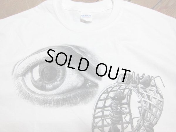 画像4: M.C ESCHER/SEE ANTS AND HANDS  WHITE