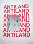 画像3: BONES AND BOLTS/TEE ANTILAND  WHITE