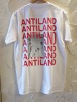 画像1: BONES AND BOLTS/TEE ANTILAND  WHITE