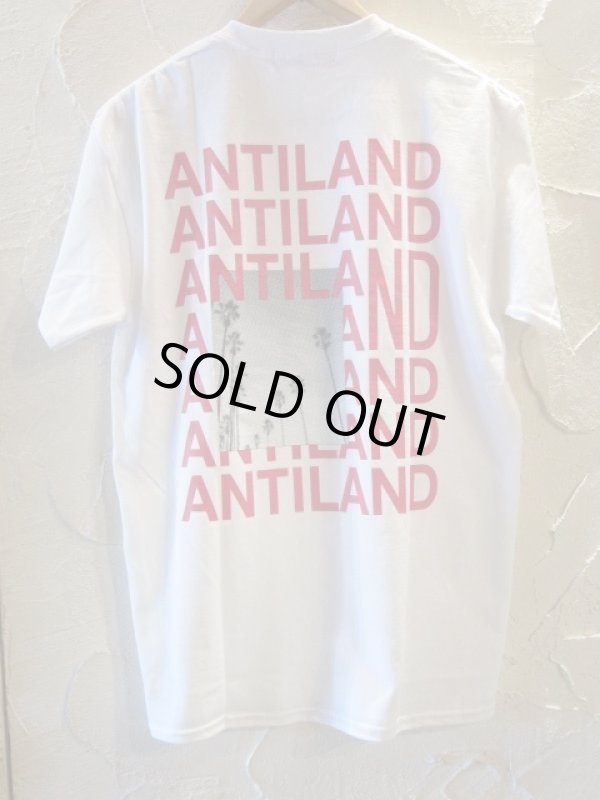 画像1: BONES AND BOLTS/TEE ANTILAND  WHITE