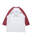 画像2: ROTTWEILER/USED RW RAGLAN 3/4 T  RED