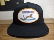 画像1: SOFTMACHINE/SABER TIGER CAP  BLACK