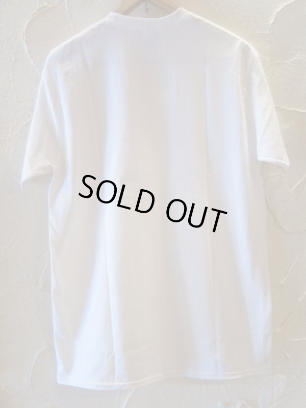 画像2: ALVA/ALVA T04  WHITE
