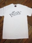 画像3: ALVA/ALVA T04  WHITE