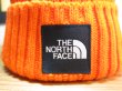 画像4: （再入荷） THE NORTH FACE/CAPPUCHO LID  ORANGE