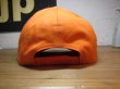 画像3: BELIVE/LOW CAP WAPPEN  APPLE  ORANGE