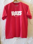 画像1: RATS/BOX LOGO T  RED