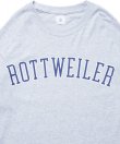 画像4: ROTTWEILER/COLLEGE LOGO LS T  GRAY