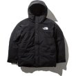 画像1: THE NORTH FACE/MOUNTAIN DOWN JKT  BLACK