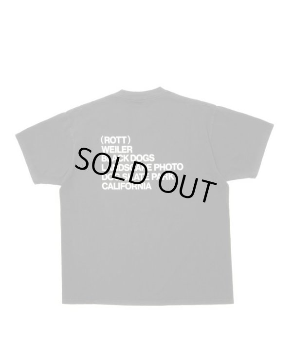 画像4: ROTTWEILER/PIGMENT PHOTO T CHARCOAL