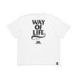 画像1: RATS/20th RATSxNH TEE  WHITE