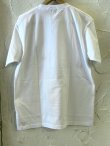 画像2:  ACOUSTIC/OVAL PATCH  IVORY