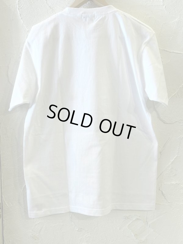 画像2:  ACOUSTIC/LEFT FEATHER  WHITE