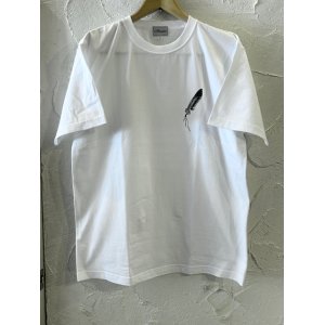 画像:  ACOUSTIC/LEFT FEATHER  WHITE