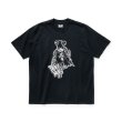 画像31: FeelFORCE/K.E  H.GRAY
