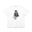 画像35: FeelFORCE/K.E  H.GRAY
