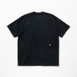 画像33: FeelFORCE/K.E  H.GRAY