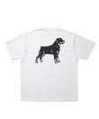 画像1: ROTTWEILER/B.D.C T  WHITE