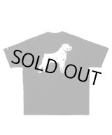 画像: ROTTWEILER/B.D.C T  BLACK