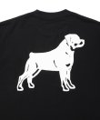 画像3: ROTTWEILER/B.D.C T  BLACK