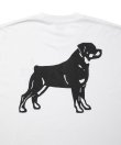 画像3: ROTTWEILER/B.D.C T  WHITE
