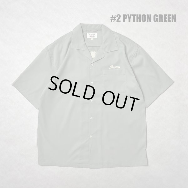 画像2: ALCARZA/BACK EMBROIDERY SHIRT PYTHON  GREEN