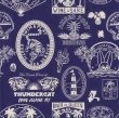 画像5: ALCARZA/OPEN SHIRT STICKER  NAVY
